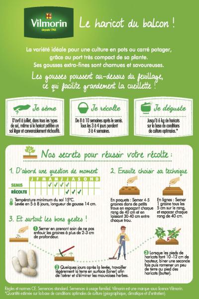Légumes Secs - Haricot Nain Vert Mascotte - 10 m - MEDIA_PACKAGING_VERSO